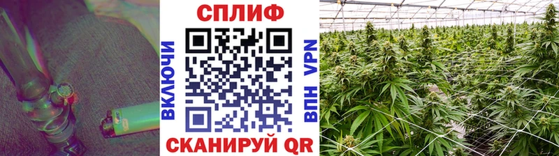 Наркотические вещества Кремёнки Галлюциногенные грибы Alpha-PVP Меф Каннабис ГАШ