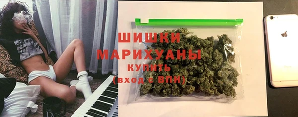 сатива Покачи