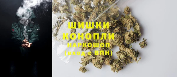 сатива Покачи