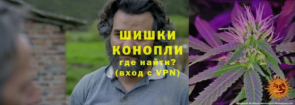 мдпв Ивантеевка