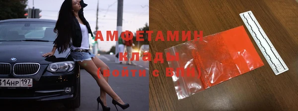 сатива Покачи