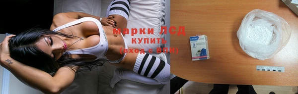 сатива Покачи