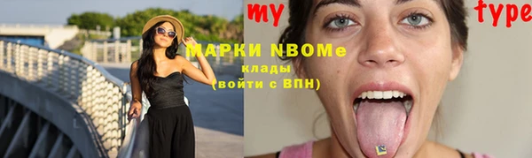 сатива Покачи