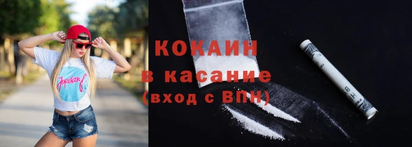 сатива Покачи