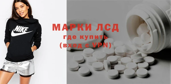 сатива Покачи
