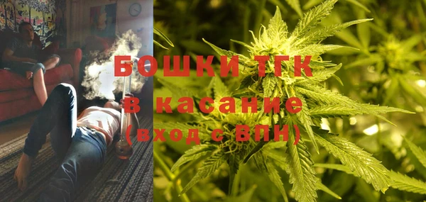 сатива Покачи