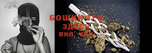 ПСИЛОЦИБИНОВЫЕ ГРИБЫ Магас