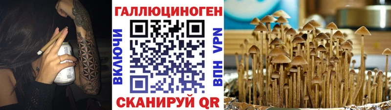 дарк нет как зайти Кремёнки Галлюциногенные грибы мухоморы
