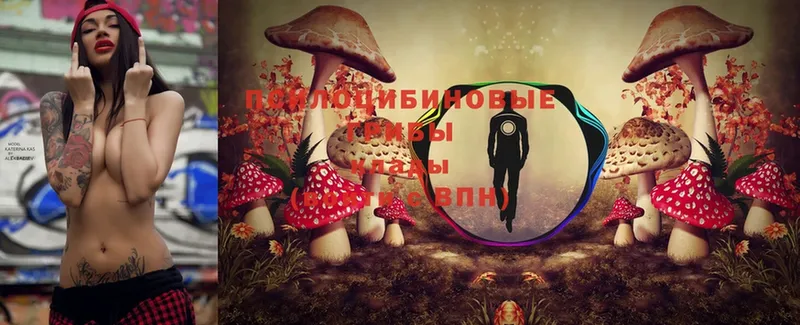 Псилоцибиновые грибы Psilocybe  ОМГ ОМГ сайт  Кремёнки 